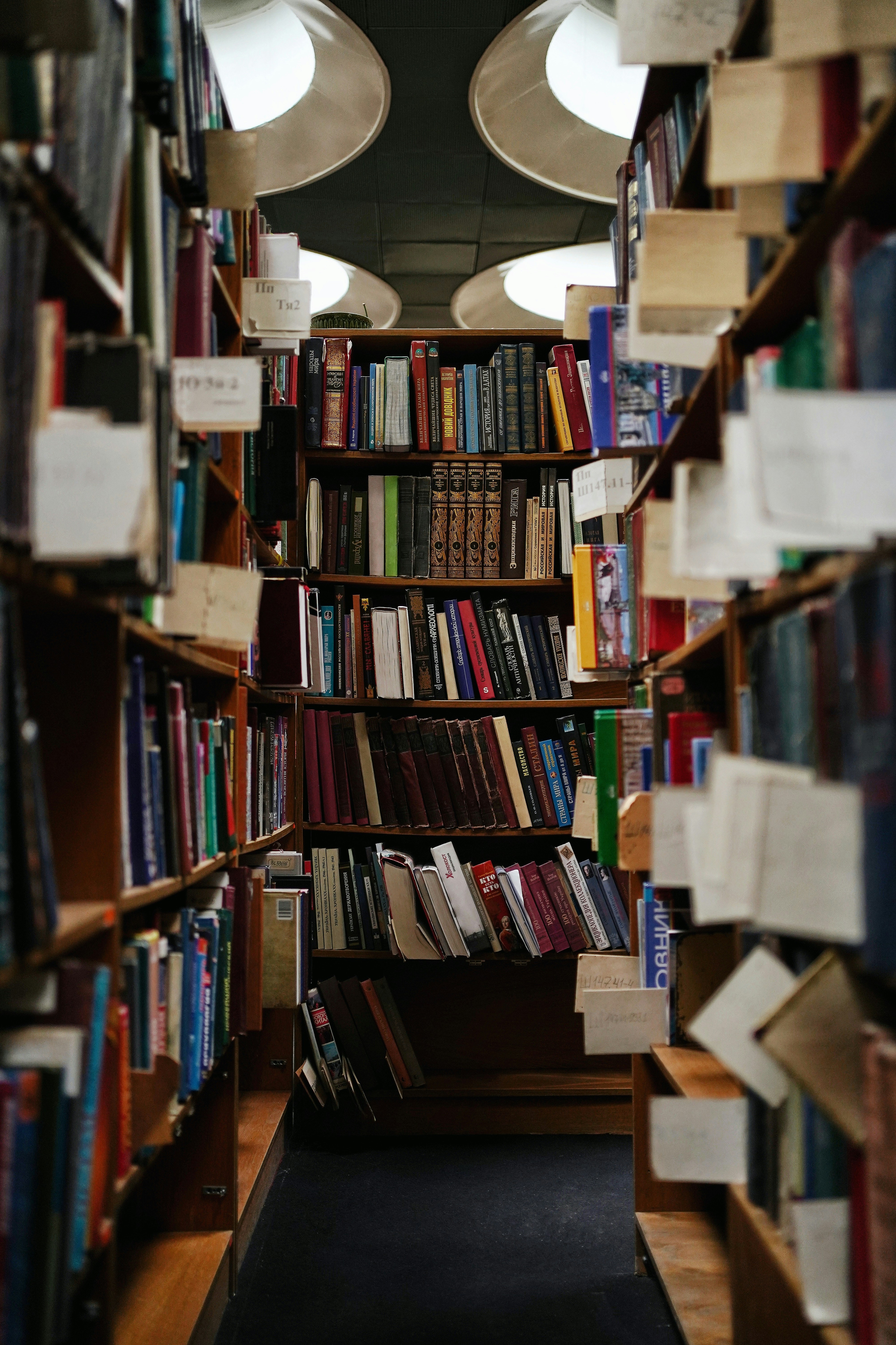 Education Background